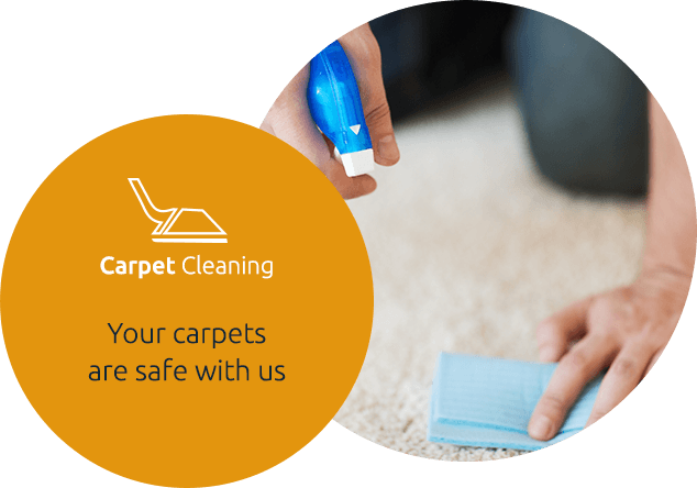 Carpet Deep Steam Cleaning Service