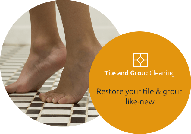 Tile and Grout Cleaning Service