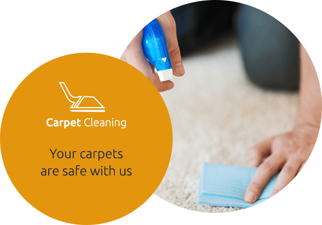Carpet Cleaning Carpet Cleaning